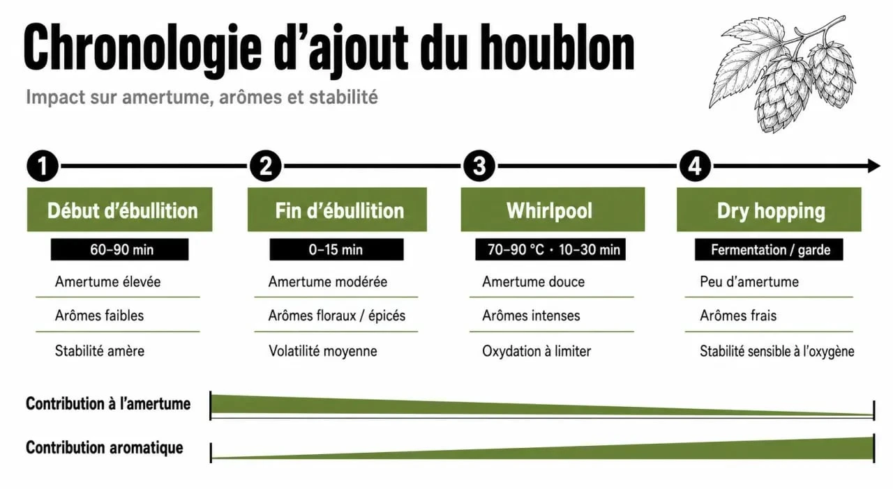 Biere houblon : schéma du moment d’ajout du houblon et des effets sur amertume et arômes